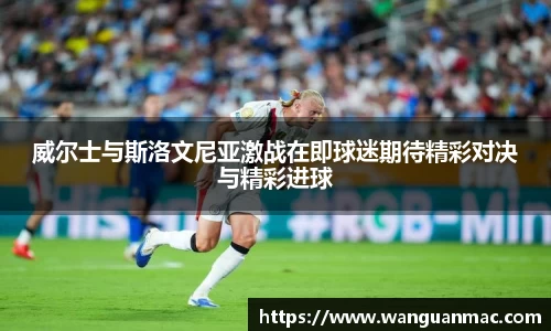 PA视讯APP