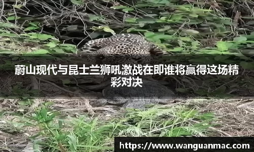 PA视讯APP